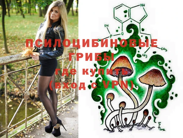 экстази Гусев