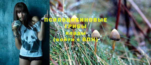 бошки Гусиноозёрск