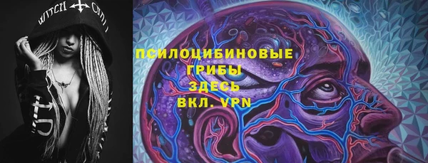 спиды Гусь-Хрустальный