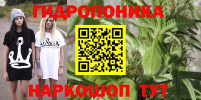 сатива Балаково