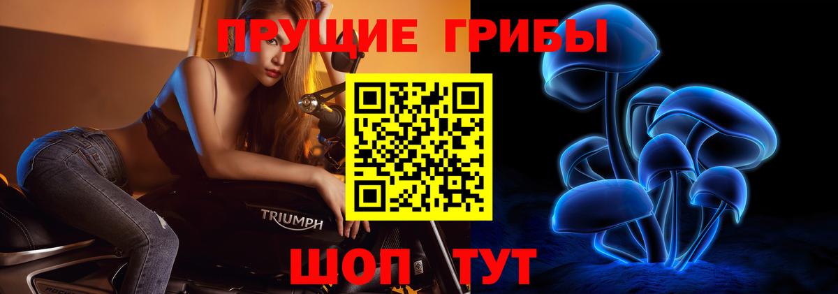 Наро-Фоминск  Галлюциногенные грибы Psilocybe  Вход с VPN  Псилоцибиновые грибы мицелий 