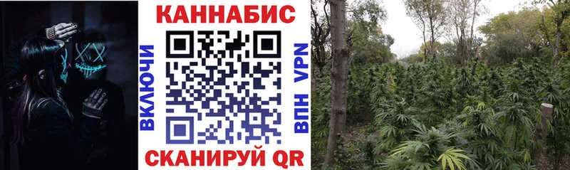 Шишки марихуана OG Kush Наро-Фоминск